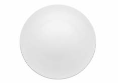 TAC Dinner Plate